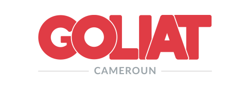 Goliat Cameroun Agence Web & Digital à Douala